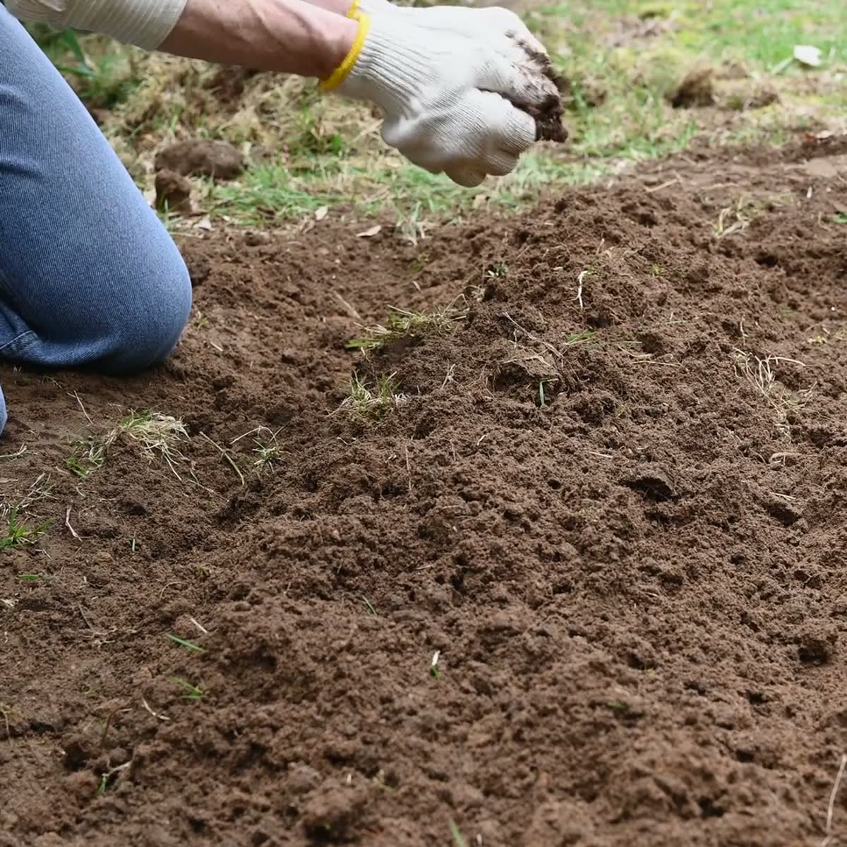 Amenajări spații verzi